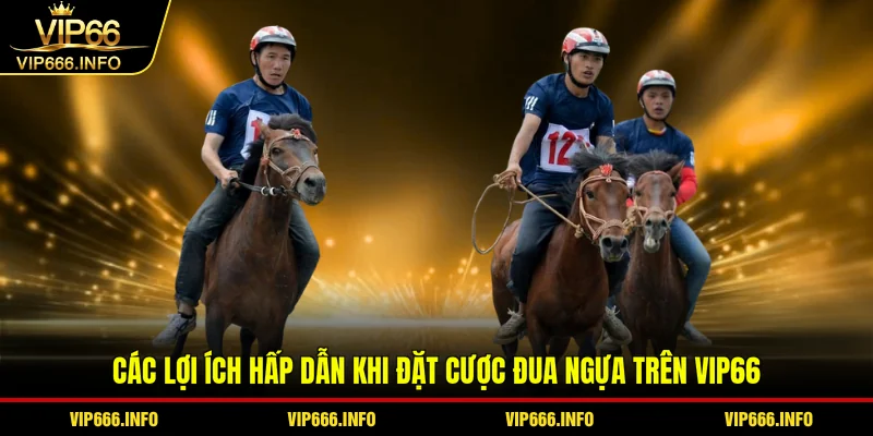 Các lợi ích hấp dẫn khi đặt cược đua ngựa trên VIP66