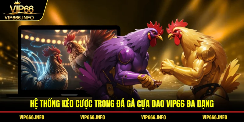 Hệ thống kèo cược trong đá gà cựa dao VIP66 đa dạng