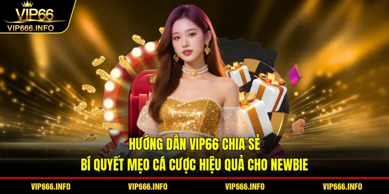 Hướng dẫn VIP66 chia sẻ bí quyết mẹo cá cược hiệu quả cho newbie
