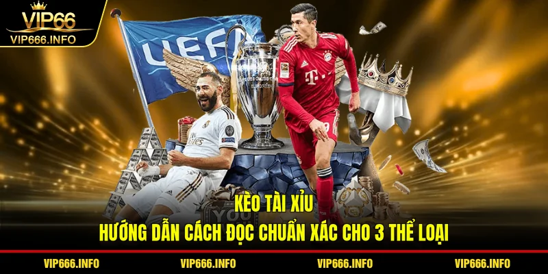Kèo tài xỉu - hướng dẫn cách đọc chuẩn xác cho 3 thể loại