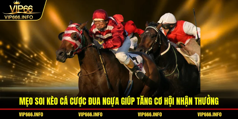 Mẹo soi kèo cá cược đua ngựa giúp tăng cơ hội nhận thưởng