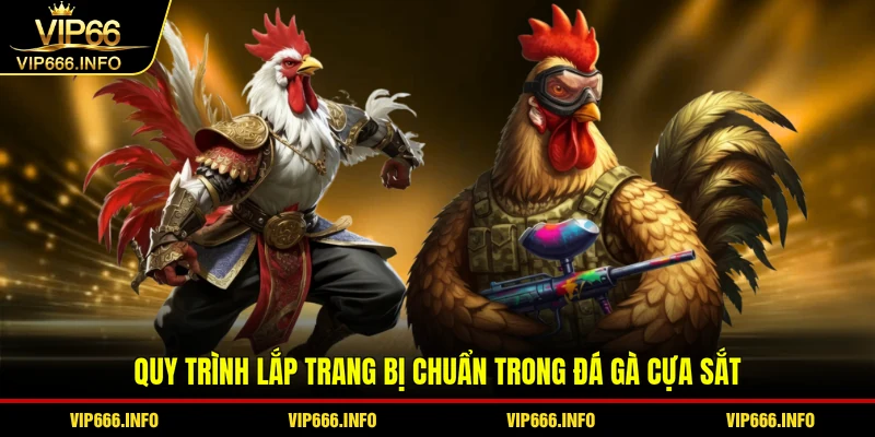 Quy trình lắp trang bị chuẩn trong đá gà cựa sắt