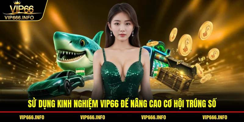 Sử dụng kinh nghiệm VIP66 để nâng cao cơ hội trúng số