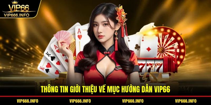 Thông tin giới thiệu về mục hướng dẫn VIP66