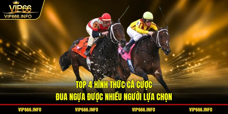 Top 4 hình thức cá cược đua ngựa được nhiều người lựa chọn
