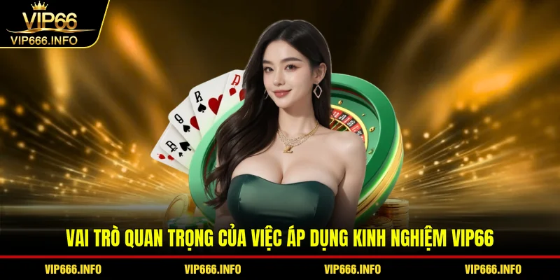 Vai trò quan trọng của việc áp dụng kinh nghiệm VIP66