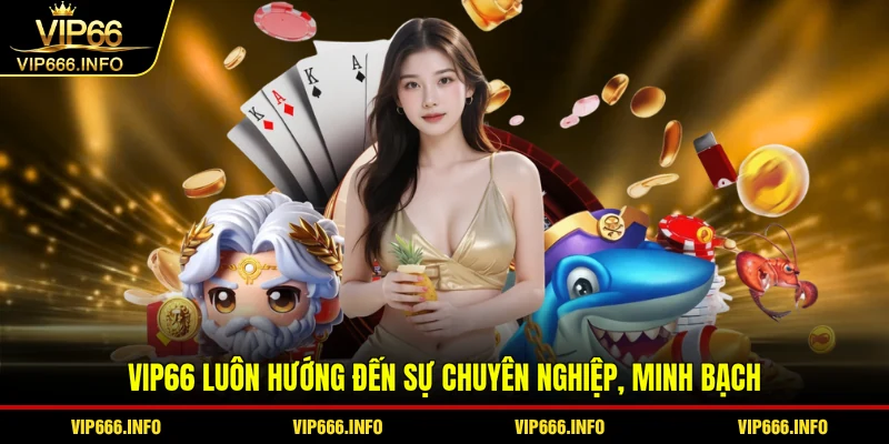 VIP66 luôn hướng đến sự chuyên nghiệp, minh bạch